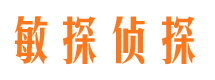 珠山市调查公司